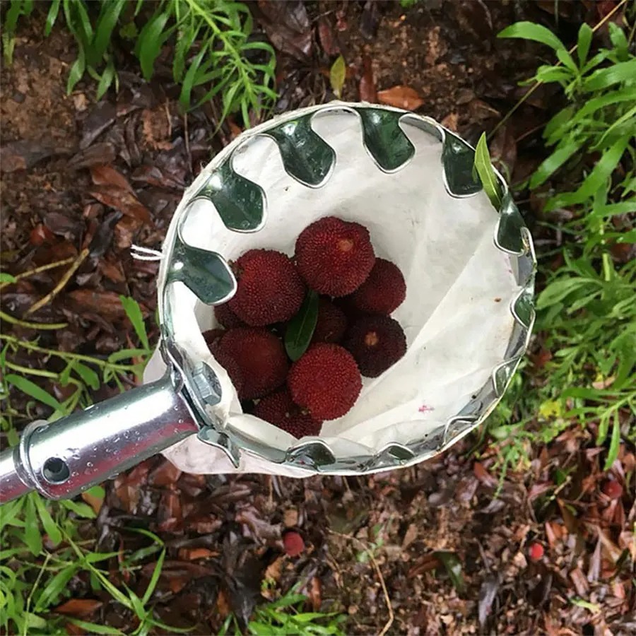 Gardening Tools Kit - 3-in-1 Fruit Harvesting Tool Set for