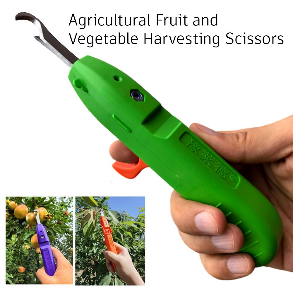 Pruning Shears for Gardening A - Gardening Tools Scissors incelemesi ve fiyatı