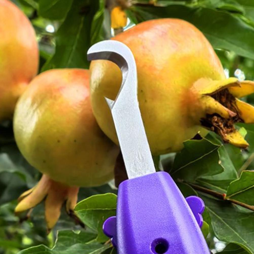 Pruning Shears for Gardening A - Gardening Tools Scissors incelemesi ve fiyatı