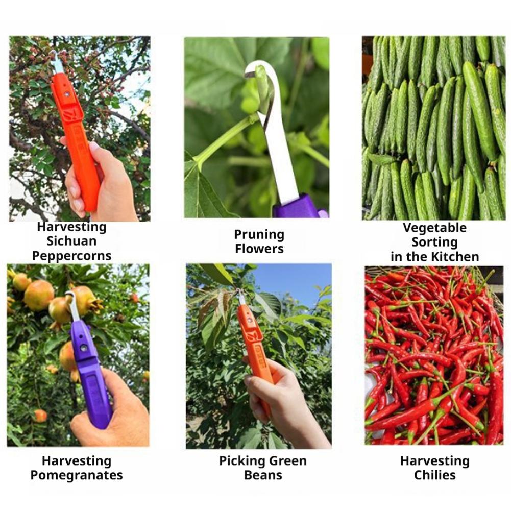 Pruning Shears for Gardening A - Gardening Tools Scissors incelemesi ve fiyatı