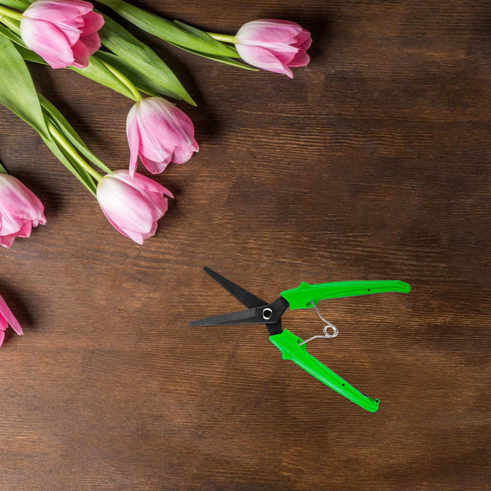 10pcs Wool Shears Stainless St - Gardening Tools Scissors incelemesi ve fiyatı