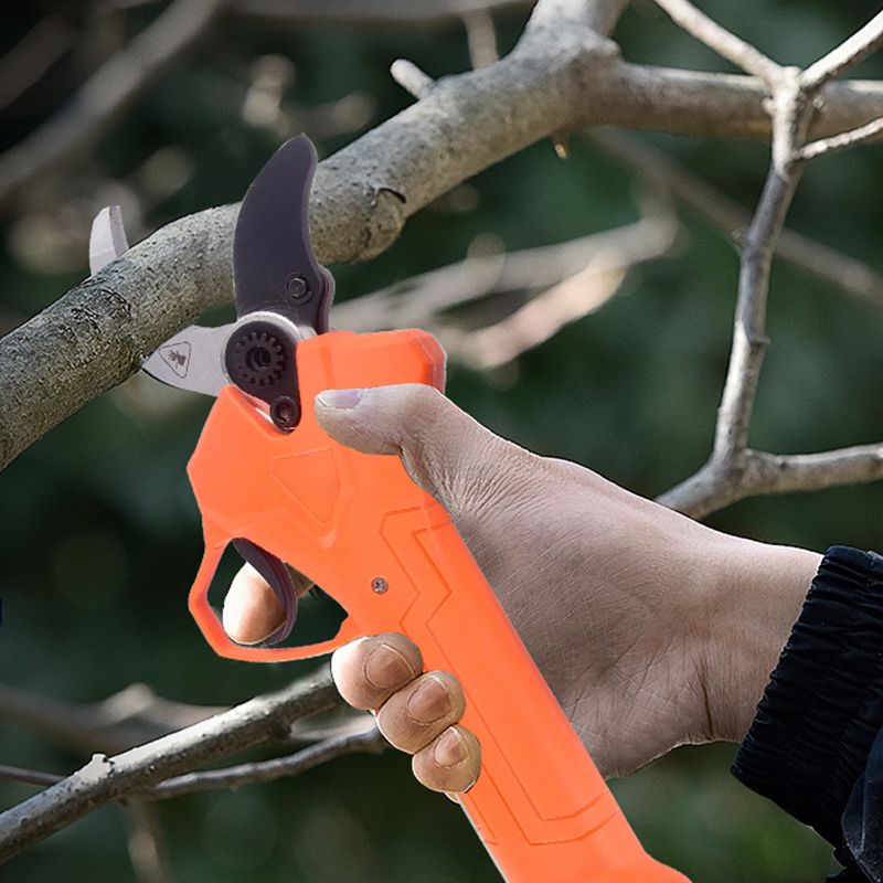 Hot Sale 42V Bodypack Electric - Gardening Tools incelemesi ve fiyatı