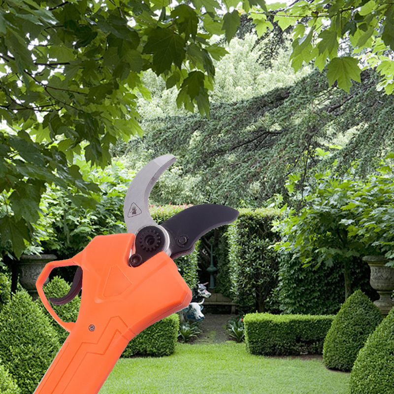Hot Sale 42V Bodypack Electric - Gardening Tools incelemesi ve fiyatı
