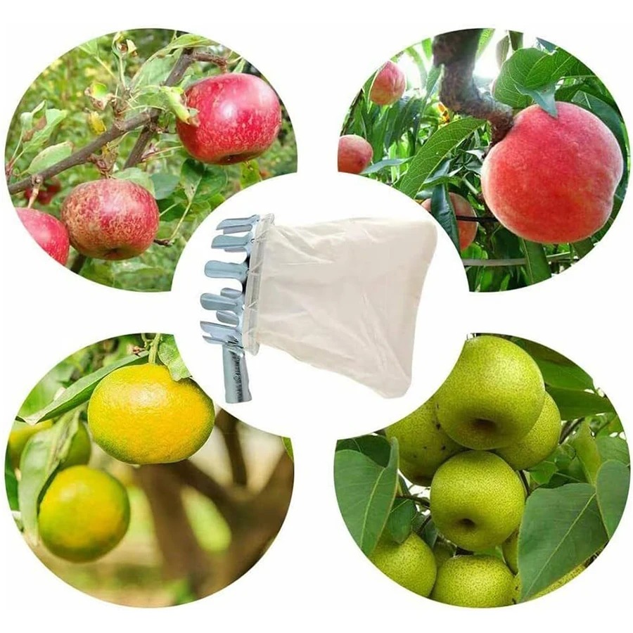 3-in-1 Fruit Harvesting Tool S - Gardening Tools Kit incelemesi ve fiyatı
