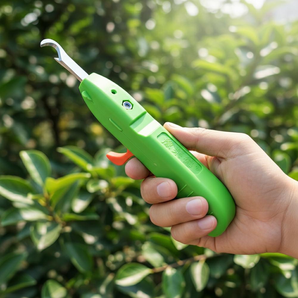 Fruit And Vegetable Picking Sh - Gardening Tools Scissors incelemesi ve fiyatı