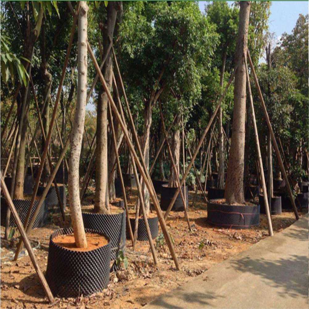 Grow Container Garden Tree Bon - Gardening Tools incelemesi ve fiyatı