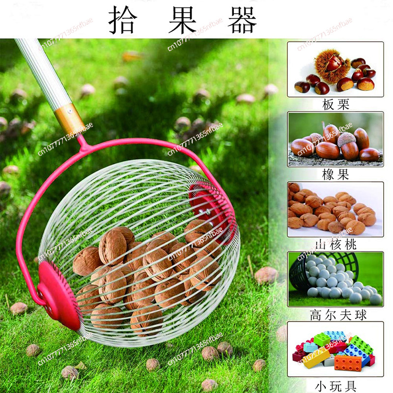 Amazon, Fruit Collector, Nut C - Gardening Tools Amazon incelemesi ve fiyatı