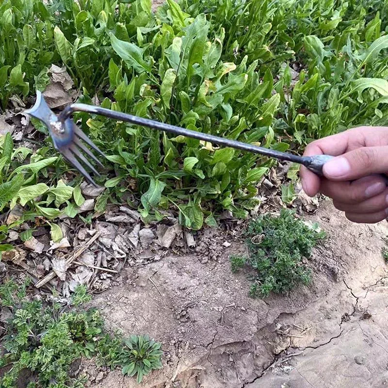 Garden Weeders Grass Hand Weed - Gardening Tools To Remove Grass incelemesi ve fiyatı