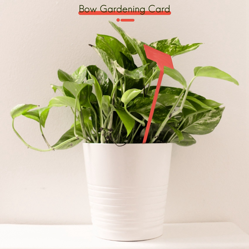 ABYP Gardens Planting Tools 50 - Gardening Tools Types incelemesi ve fiyatı