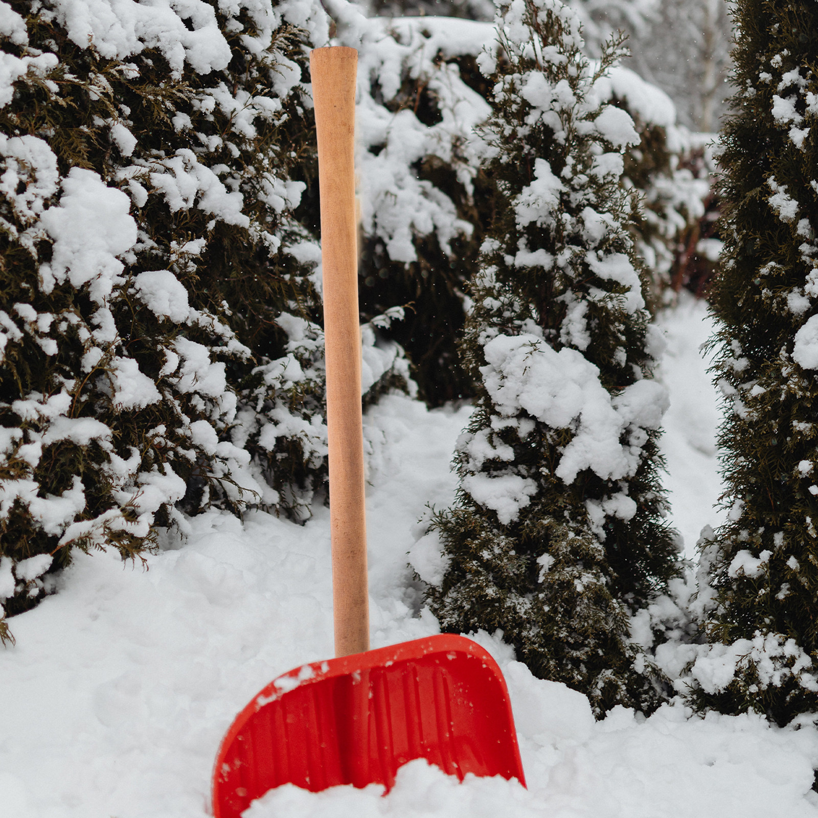 2 Pcs Wooden Broom Handle Repl - Gardening Tools Shovel incelemesi ve fiyatı