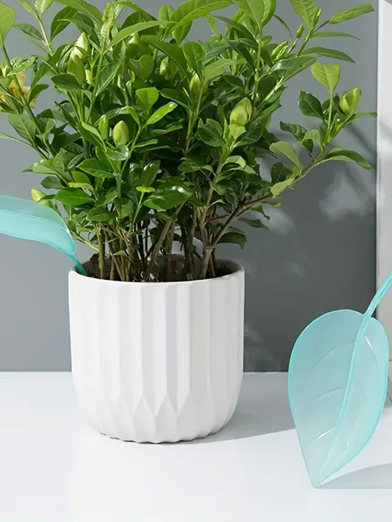 1pc Creative Irrigation Tools: - Gardening Tools Types incelemesi ve fiyatı