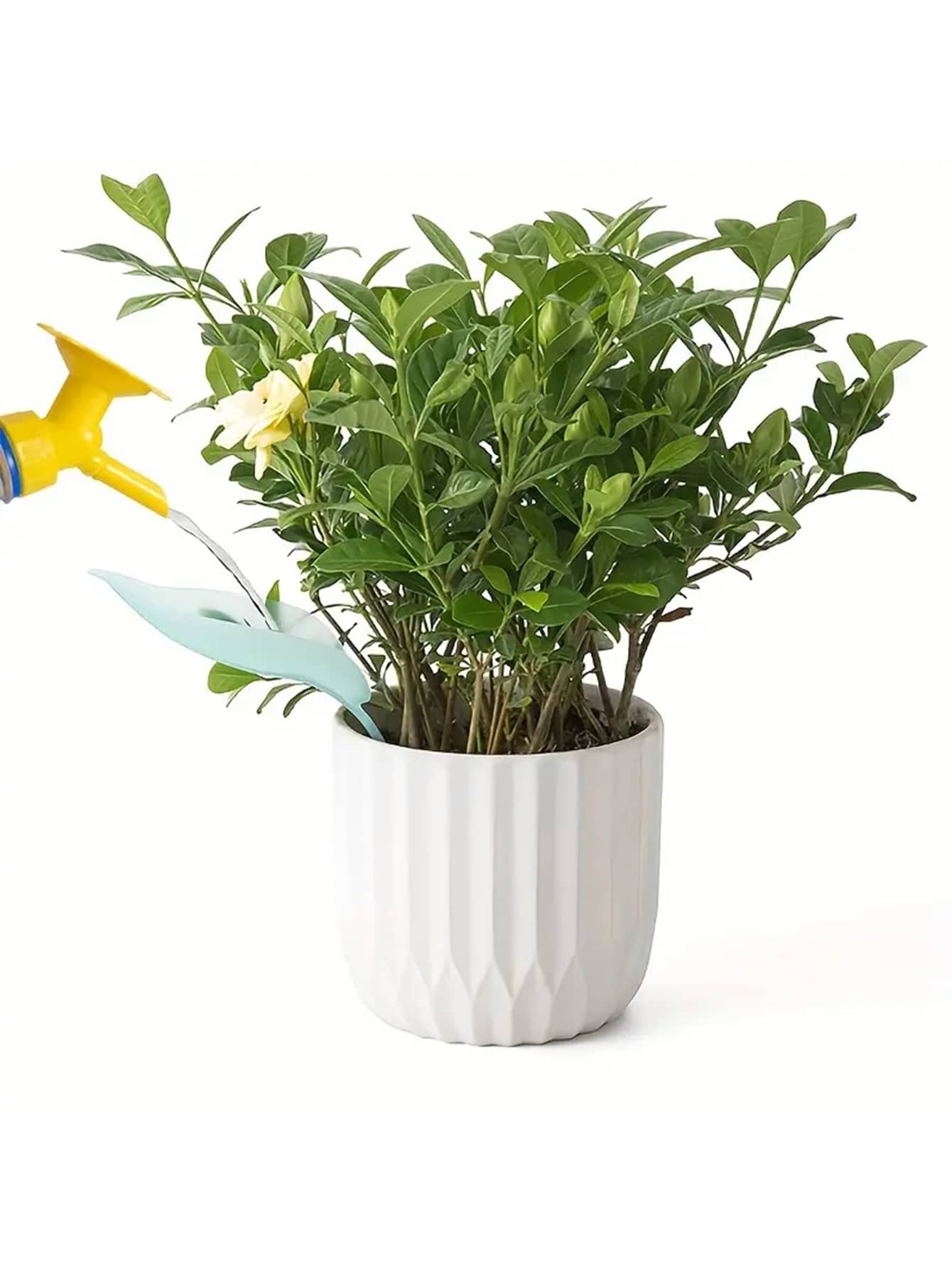 1pc Creative Irrigation Tools: - Gardening Tools Types incelemesi ve fiyatı