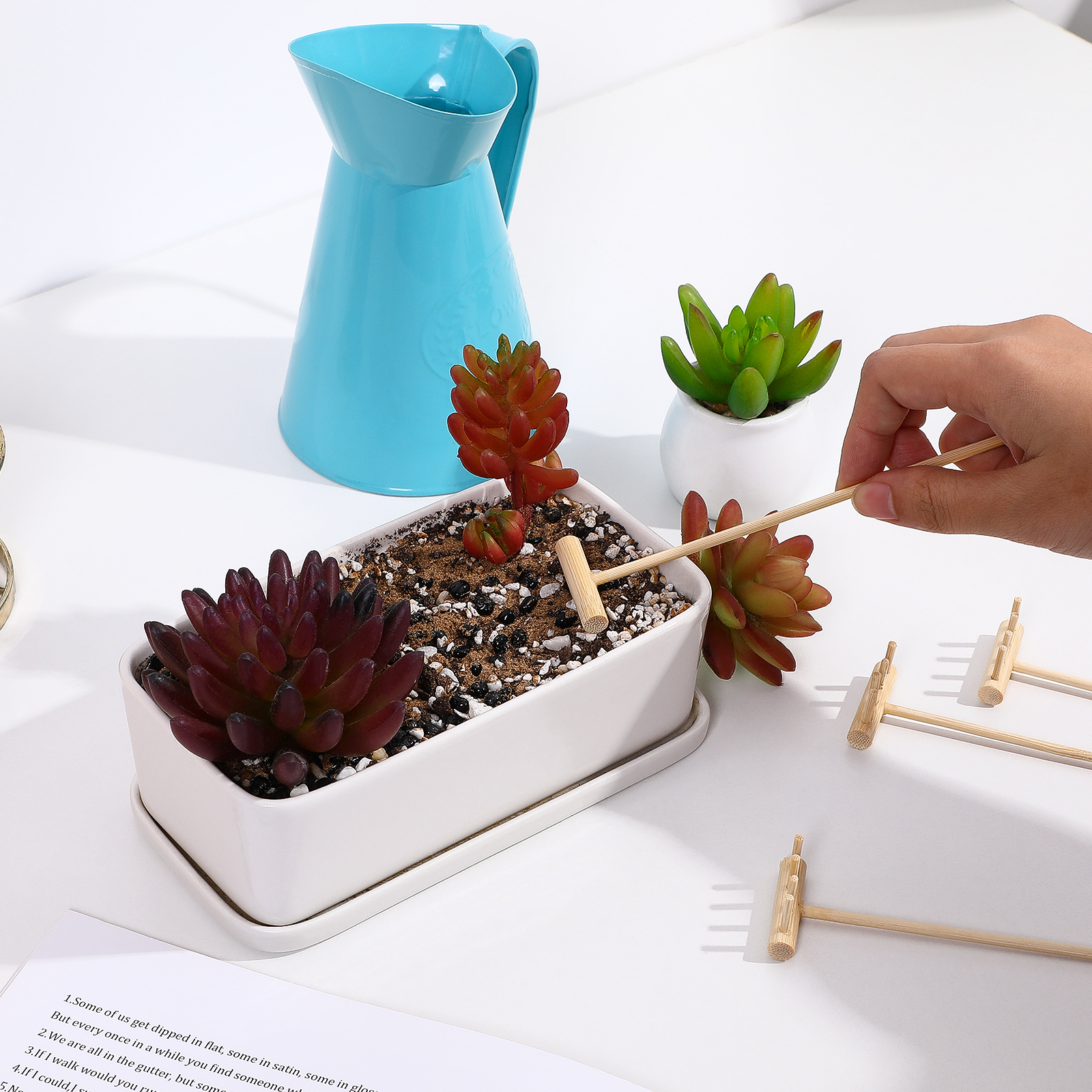 8Pcs Mini Zen Rake Tools Medit - Zen Gardening Tools incelemesi ve fiyatı