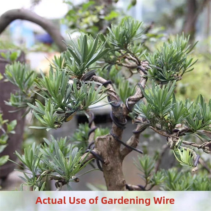 1.5MM Bonsai Wires Aluminum Bo - Gardening Tools And Accessories incelemesi ve fiyatı