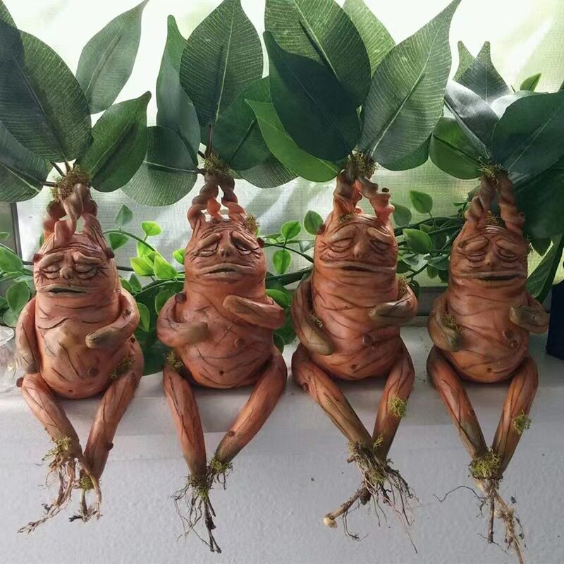 Mandrake Mandrake Resin Orname - Gardening Tools Amazon incelemesi ve fiyatı