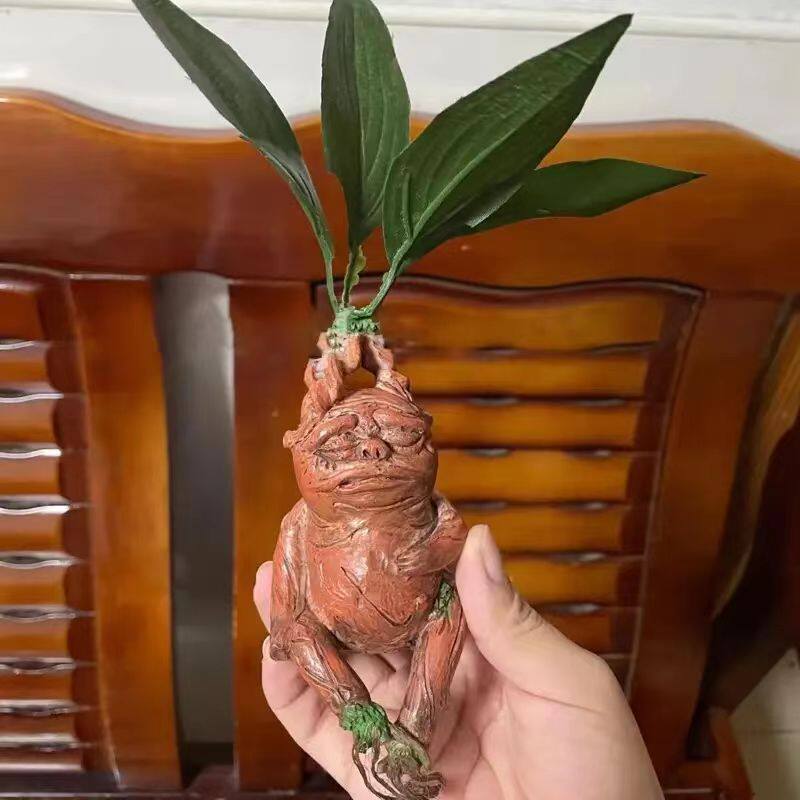 Mandrake Mandrake Resin Orname - Gardening Tools Amazon incelemesi ve fiyatı