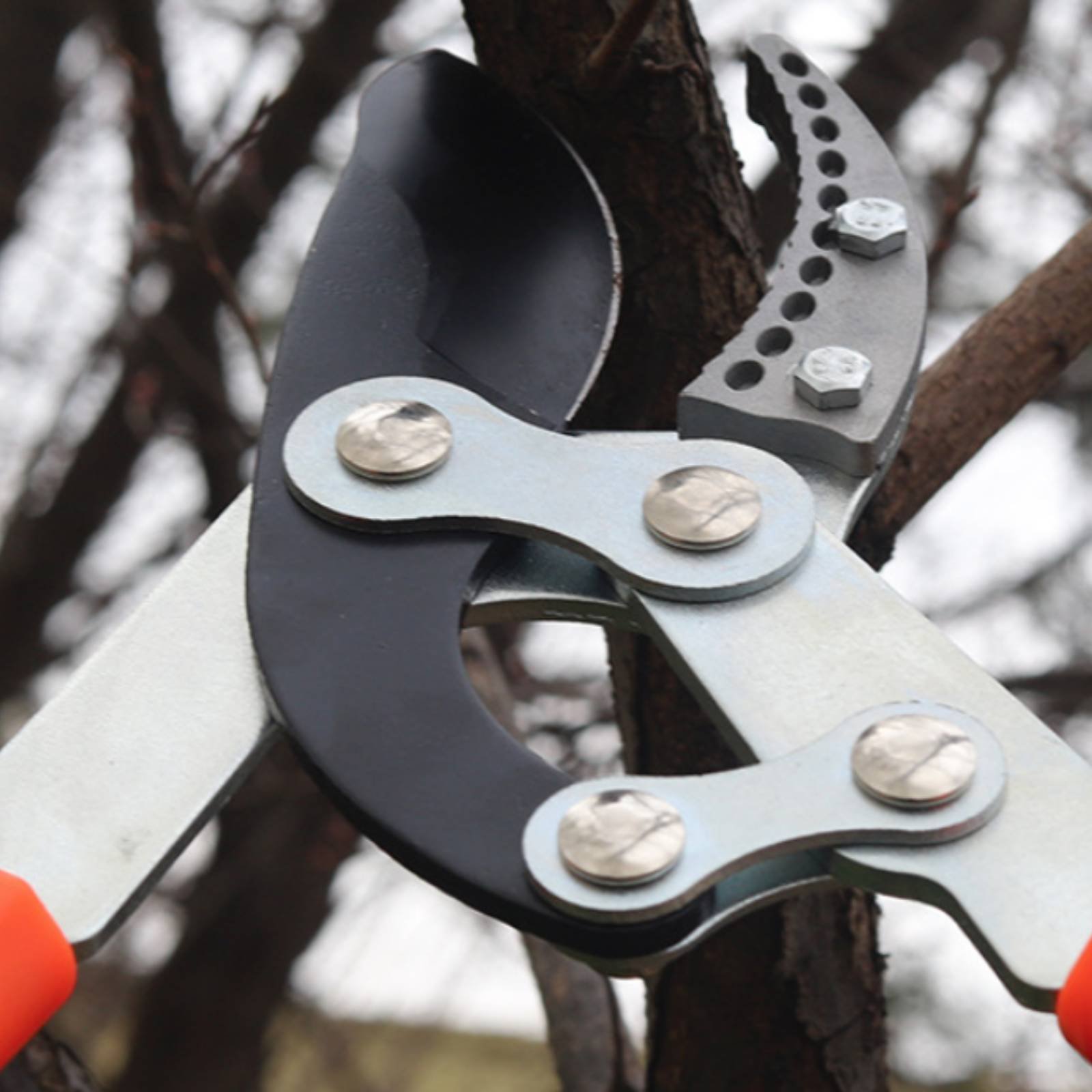 Telescopic Branch Pruners Shar - Gardening Tools incelemesi ve fiyatı