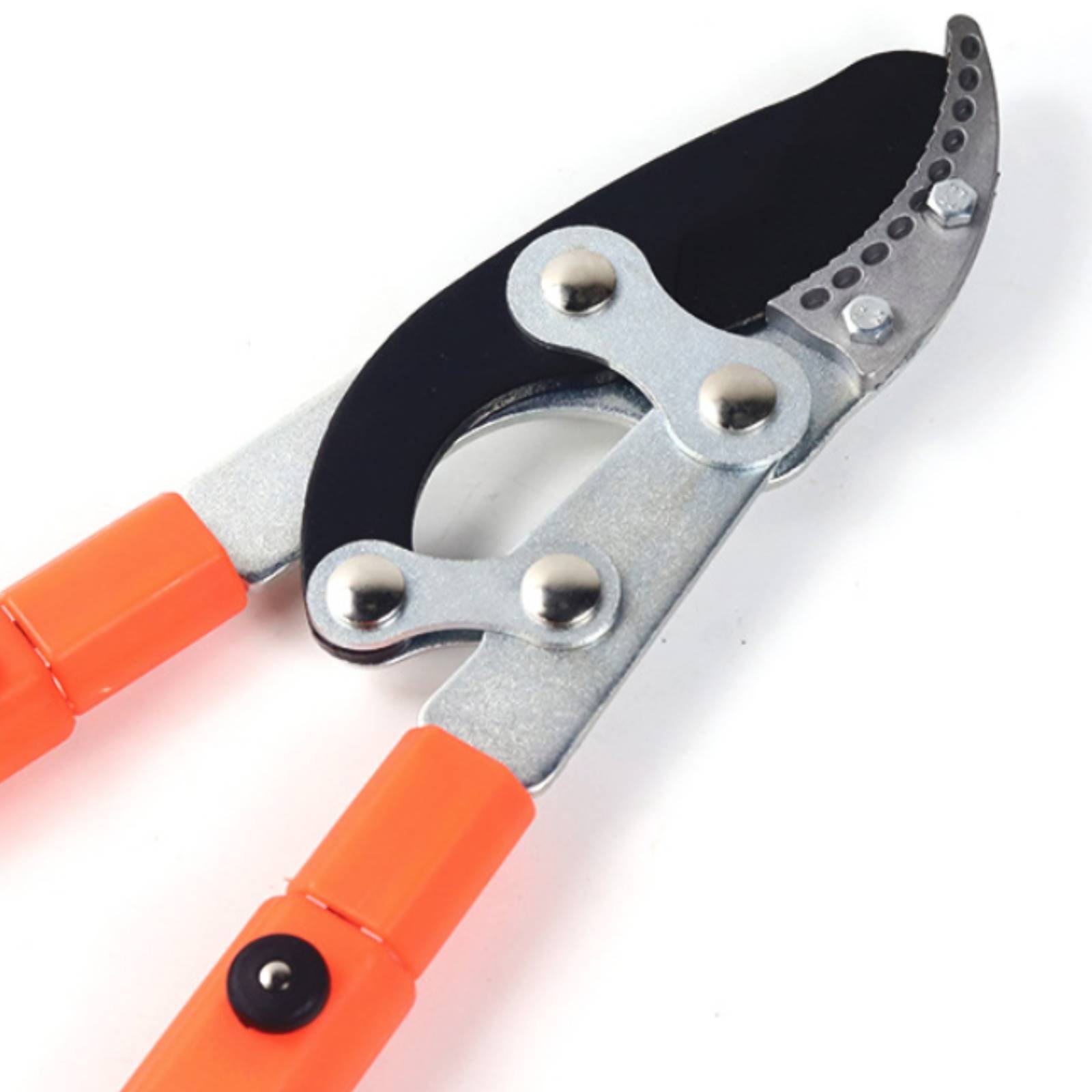 Telescopic Branch Pruners Shar - Gardening Tools incelemesi ve fiyatı