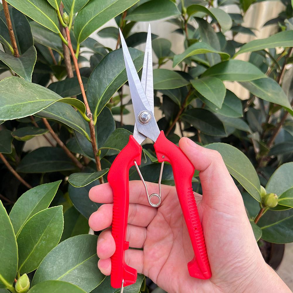 Pro Garden Pruning Shears Leng - Gardening Tools Scissors incelemesi ve fiyatı