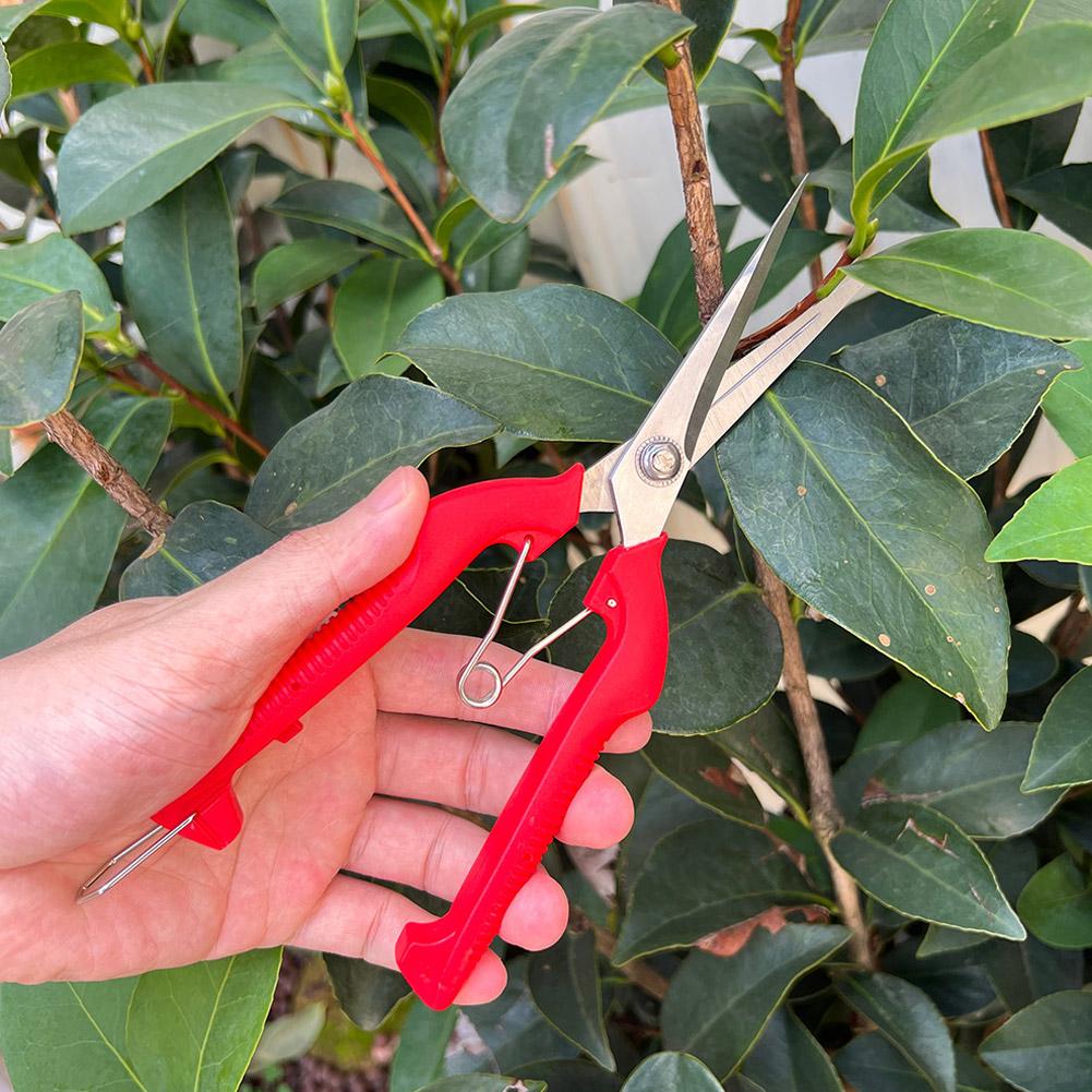 Pro Garden Pruning Shears Leng - Gardening Tools Scissors incelemesi ve fiyatı