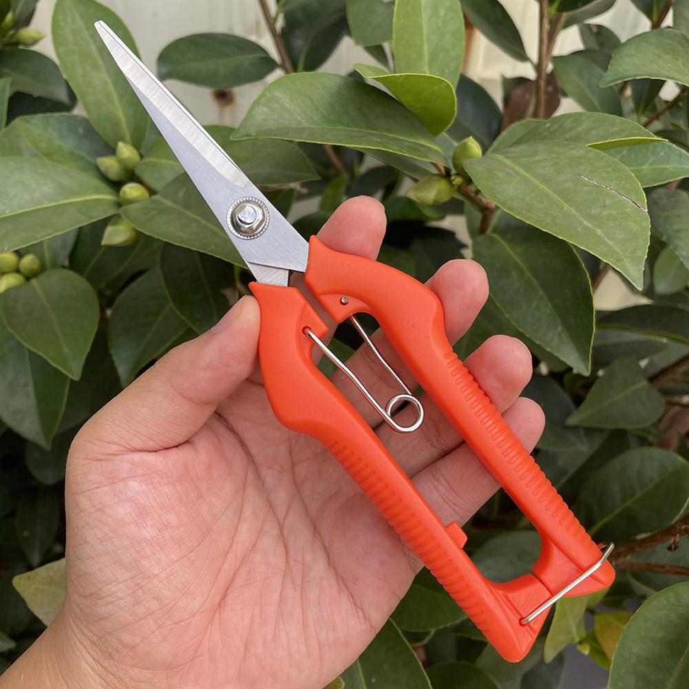 Pro Garden Pruning Shears Leng - Gardening Tools Scissors incelemesi ve fiyatı