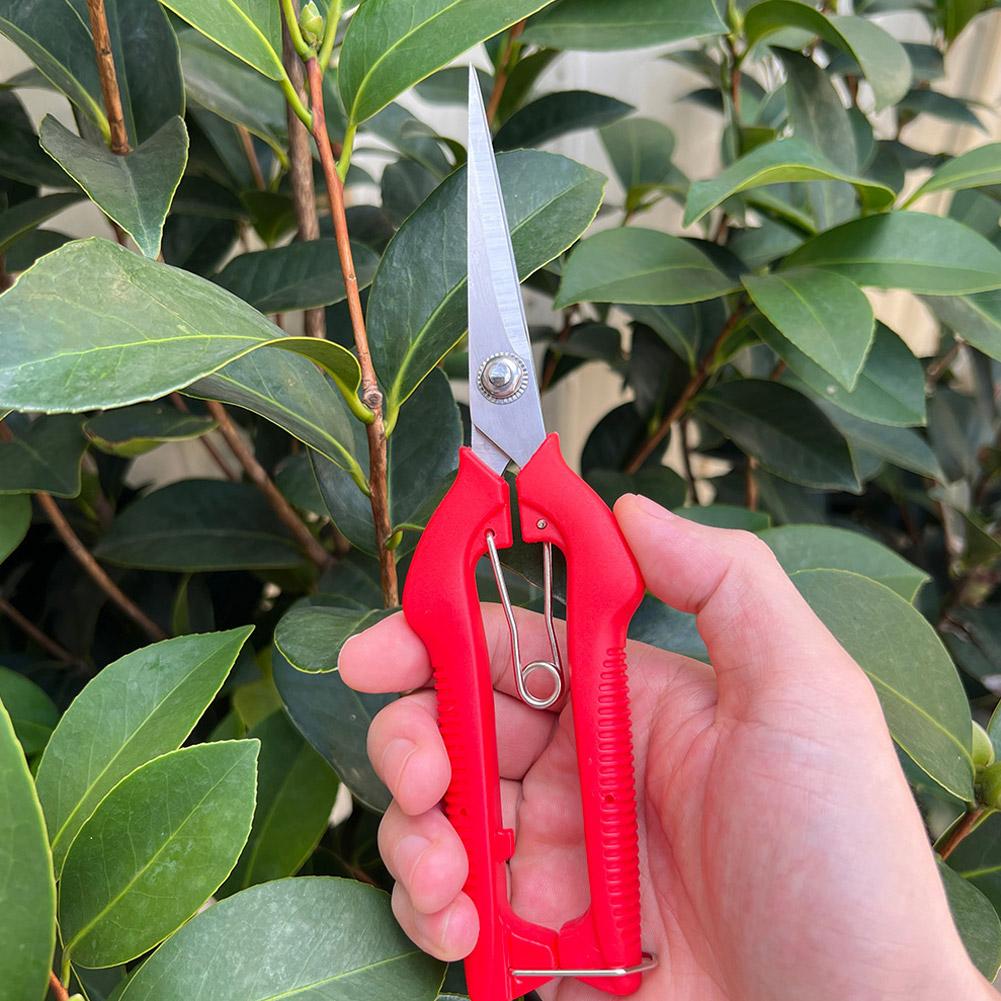 Pro Garden Pruning Shears Leng - Gardening Tools Scissors incelemesi ve fiyatı