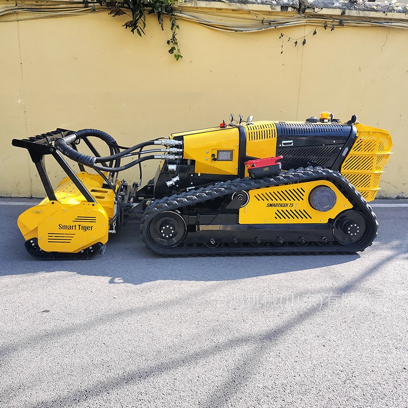 Intelligent Remote Control Cra - Gardening Tools To Remove Grass incelemesi ve fiyatı